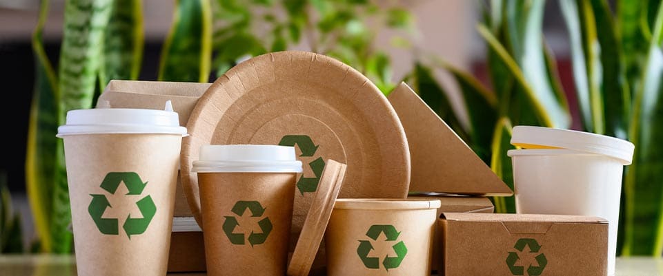 Materiales biodegradables e innovación industrial | SmartGreen