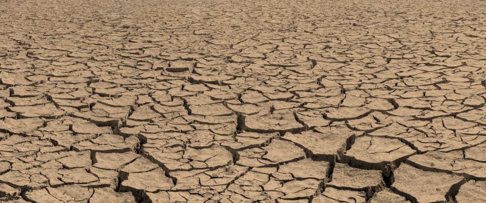 Desertificación, tan lejos y tan cerca | SmartGreen